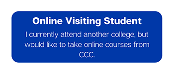 Apply to be a visiting online student