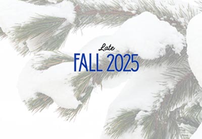 Tree branches with snow