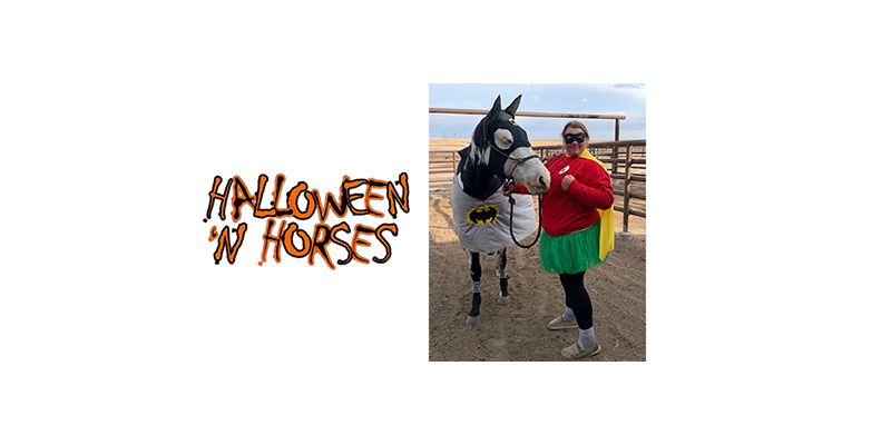 A horse dressed as Batman and a student as Robin