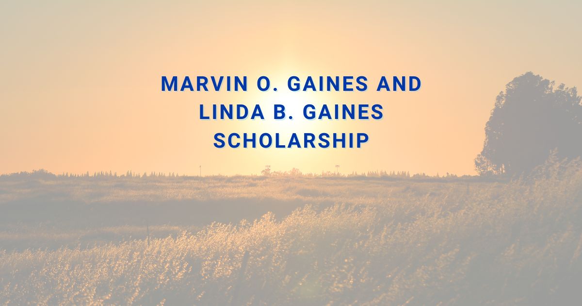 Sunset in the background of a prairie field