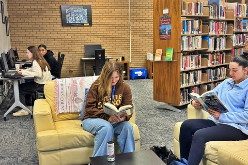 Library Sofa