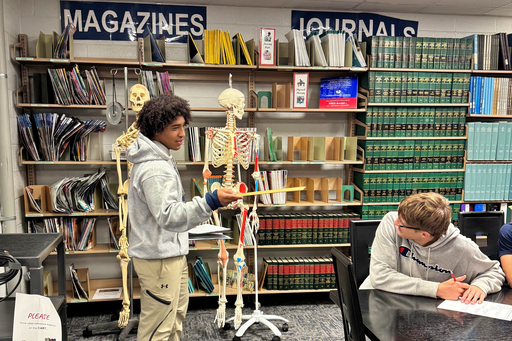 Library Study